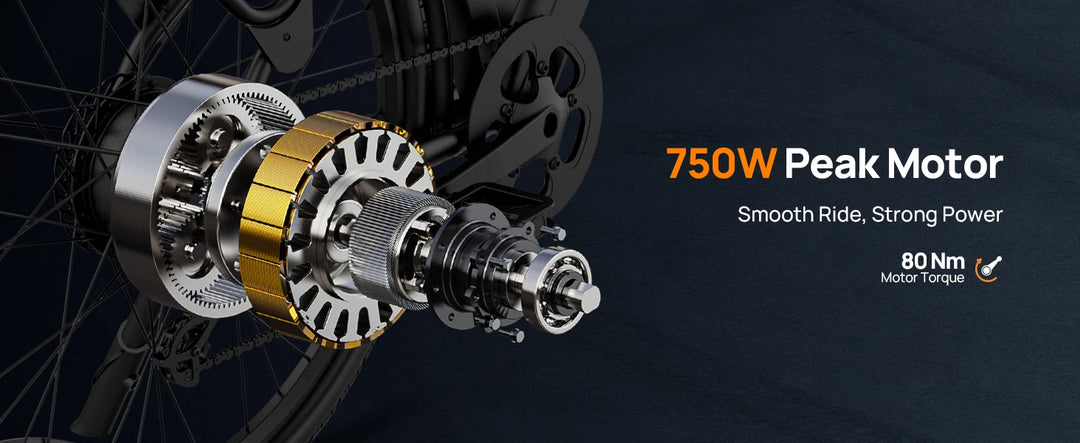 E26 PeakDrive 750 – 48V Urban Explorer Electric Bike for Adults