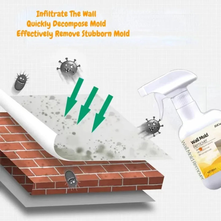 MoldGuard™ Antibacterial Mold Remover Spray – Powerful Mildew & Stain Cleaner