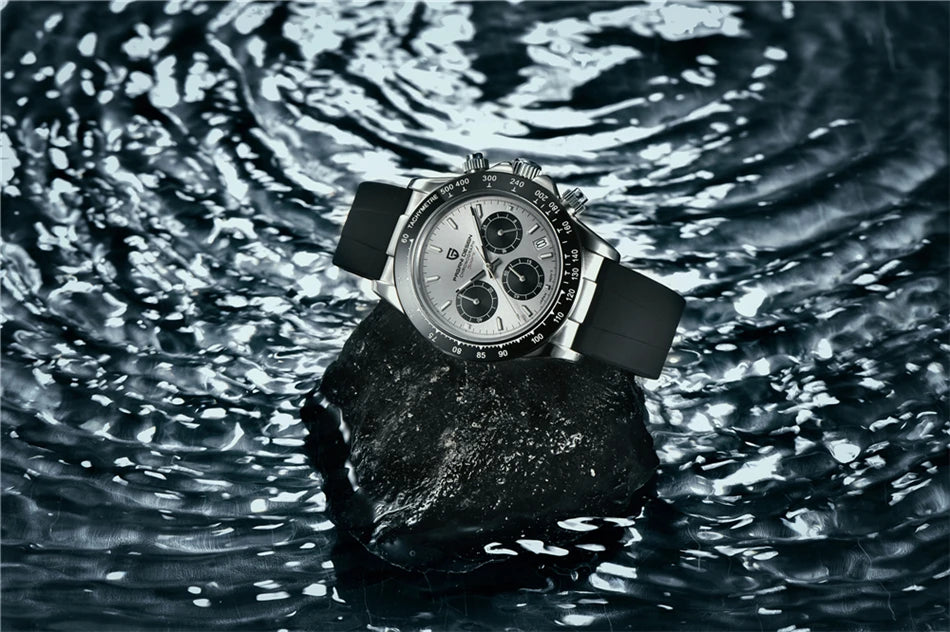 PAGANI DESIGN Prestige Automatic – Men's Sapphire Mechanical Timepiece