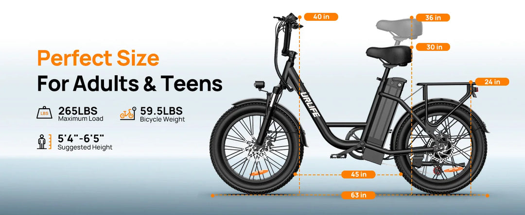UrLife E20 Pro 1000W Electric Bike – 48V Battery, 20MPH