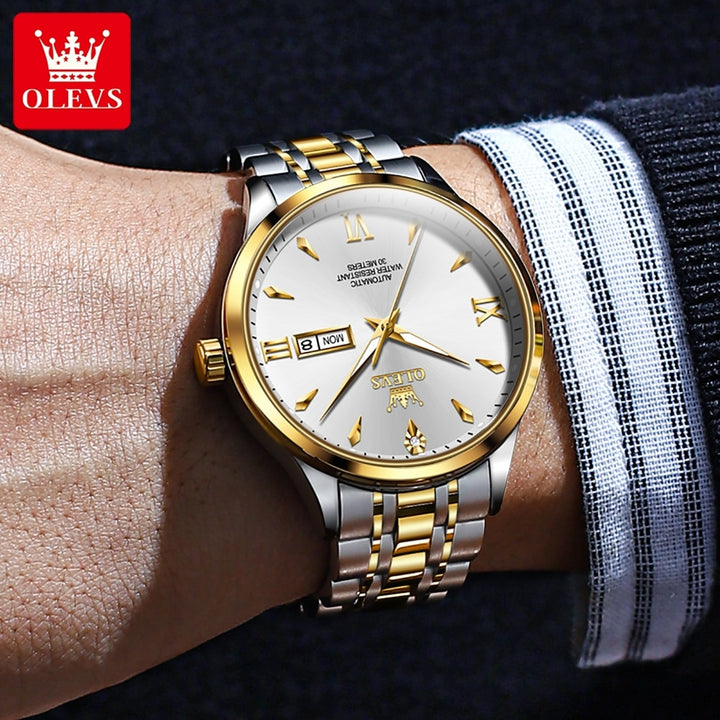 OLEVS 9956 - Luxury Automatic Mechanical Watch