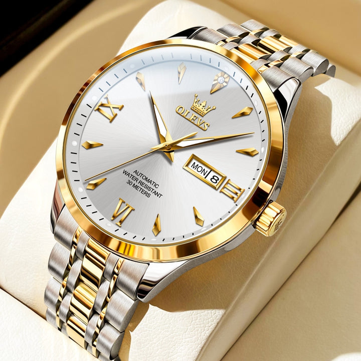 OLEVS 9956 - Luxury Automatic Mechanical Watch