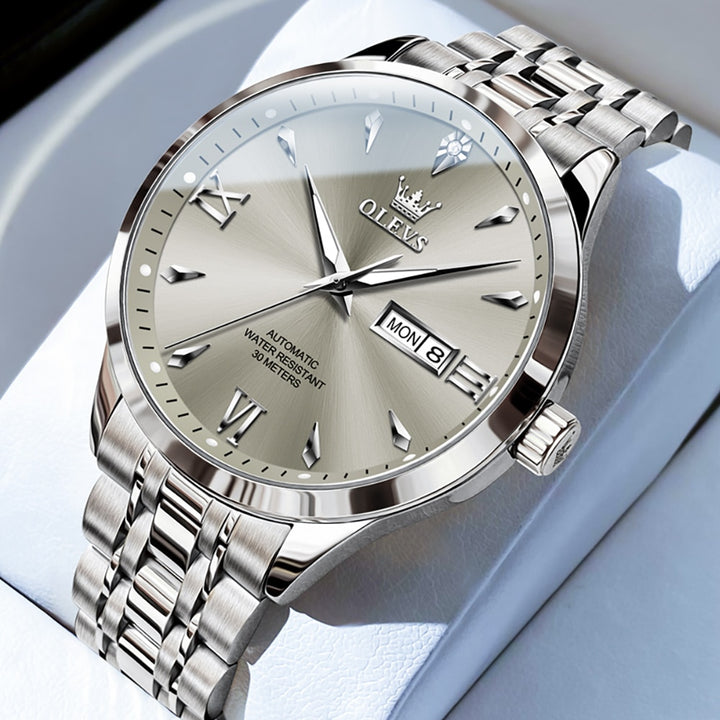 OLEVS 9956 - Luxury Automatic Mechanical Watch