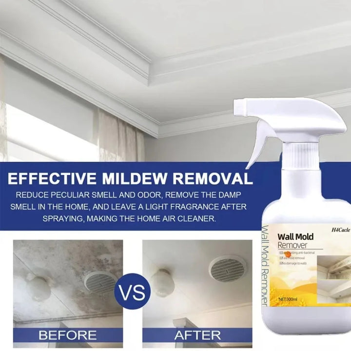 MoldGuard™ Antibacterial Mold Remover Spray – Powerful Mildew & Stain Cleaner