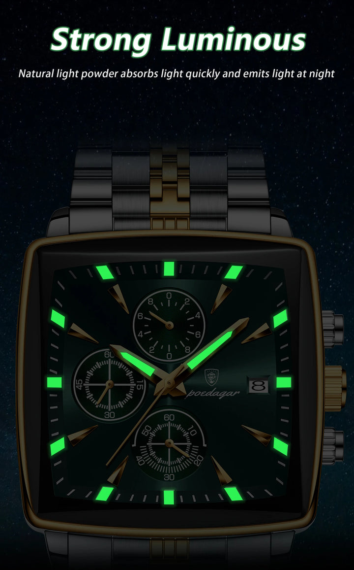 POEDAGAR Imperial Chronograph -  Swiss Luminous Luxury Quartz Men’s Watch