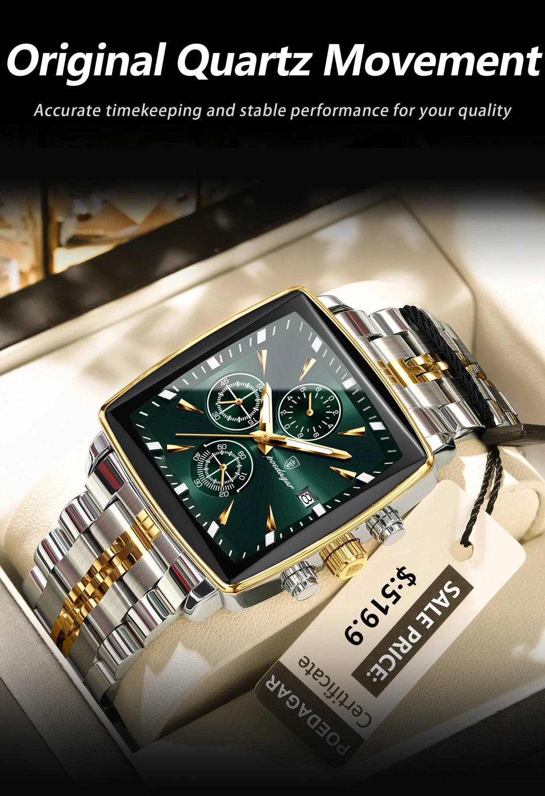 POEDAGAR Imperial Chronograph -  Swiss Luminous Luxury Quartz Men’s Watch